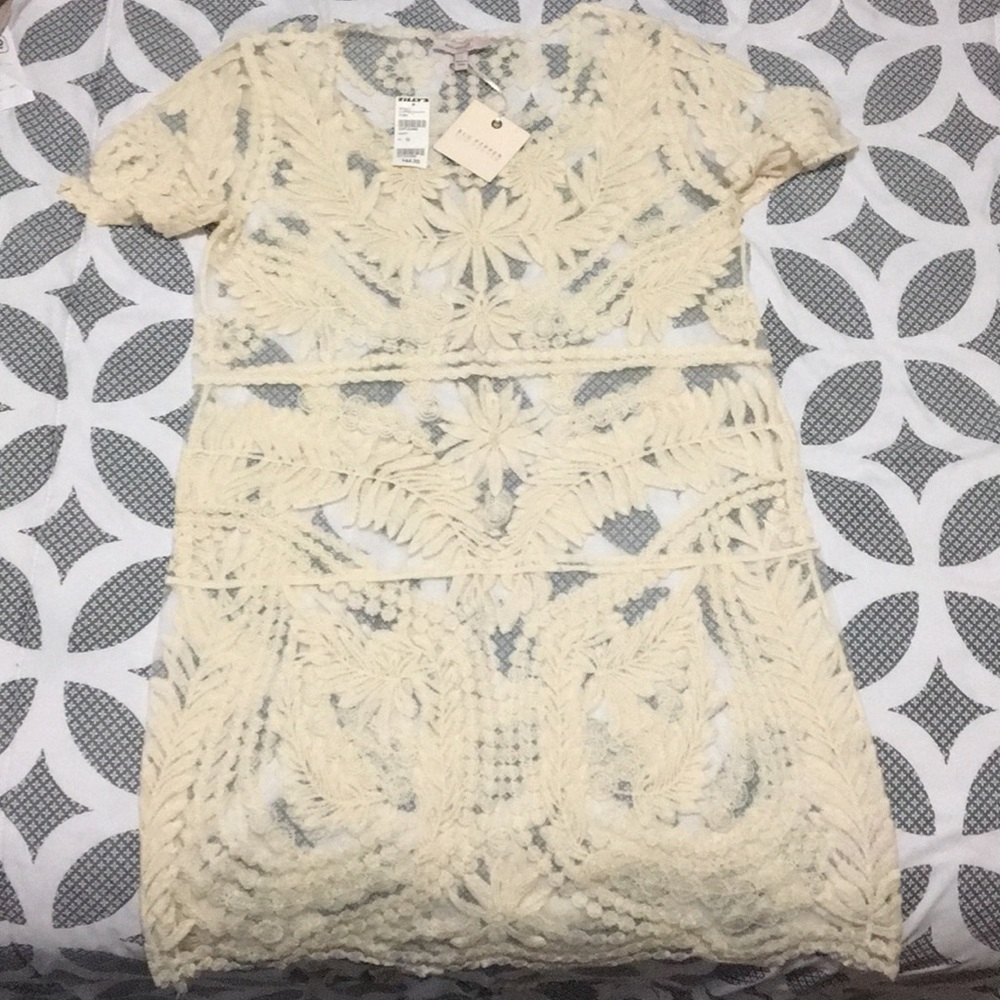 Blue pepper sheer lace dress